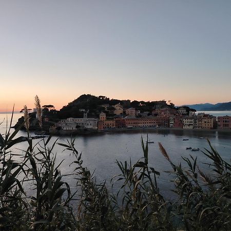 La Vie En Rose Flat Apartment Sestri Levante Bagian luar foto