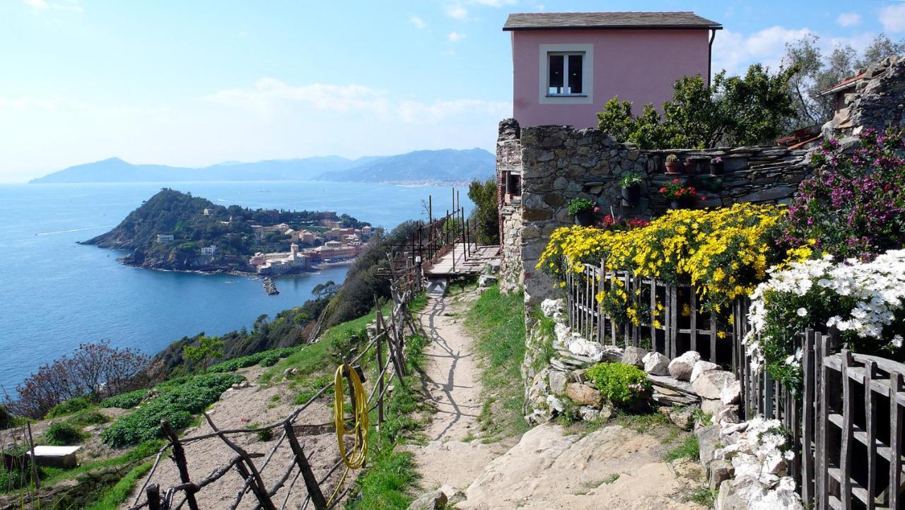 La Vie En Rose Flat Apartment Sestri Levante Bagian luar foto